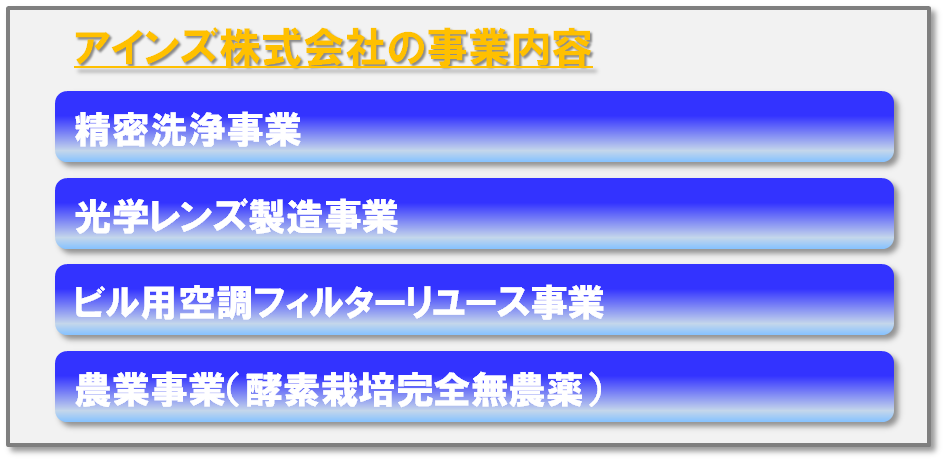 アインズ株式会社の事業概要